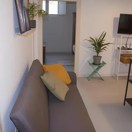 Zanardelli Bright Flat Apartman Firenze