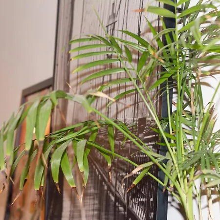 Zanardelli Bright Flat 아파트 피렌체